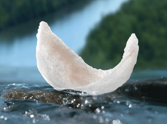 Ready-to-Eat Bird’s Nest Drink